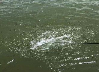 Lors d’une partie de pêche sur le fleuve Zambèze, des pêcheurs en profitent pour s’amuser avec “un mec du coin”…
