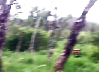 Alaska : un couple de randonneurs tombe sur un énorme grizzly