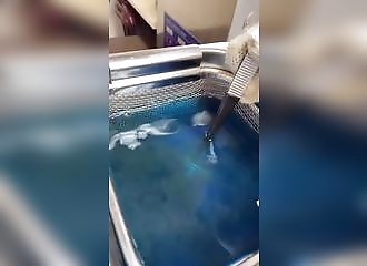 Bain à ultrasons pour nettoyer une bague en diamants