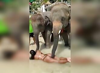 Elle teste le massage par un éléphant, ça tourne mal !