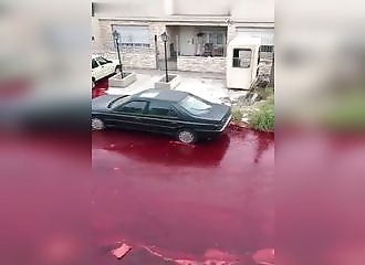 Le réservoir d’un abattoir déverse 500.000 litres de sang dans la rue (Argentine)