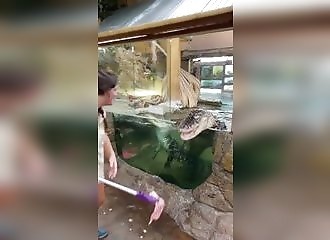 Cet employée de zoo sait t'elle vraiment ce qu'elle fait ?!?