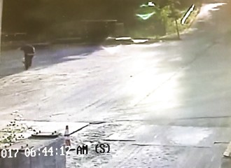 Dans sa rue, un homme se fait attaquer par un renard atteint de la rage