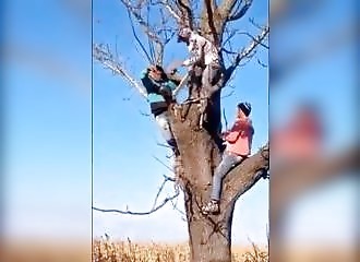 Punis pour avoir pourchassé un pauvre animal