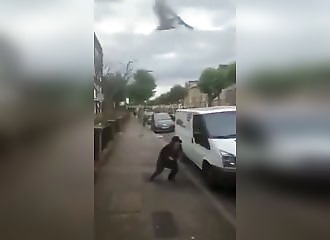 Des oiseaux antisémites attaquent un juif orthodoxe