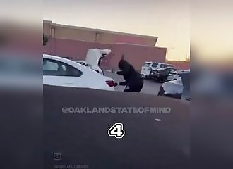 He steals the contents of a car in just a few seconds 