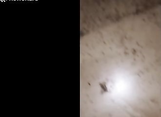 Un exterminateur découvre la pire infestation de punaises de lit de sa carrière (Canada)