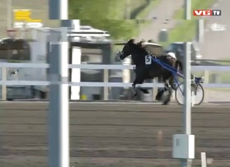 Norvège : cheval de course se tue en s’empalant sur une barrière levante